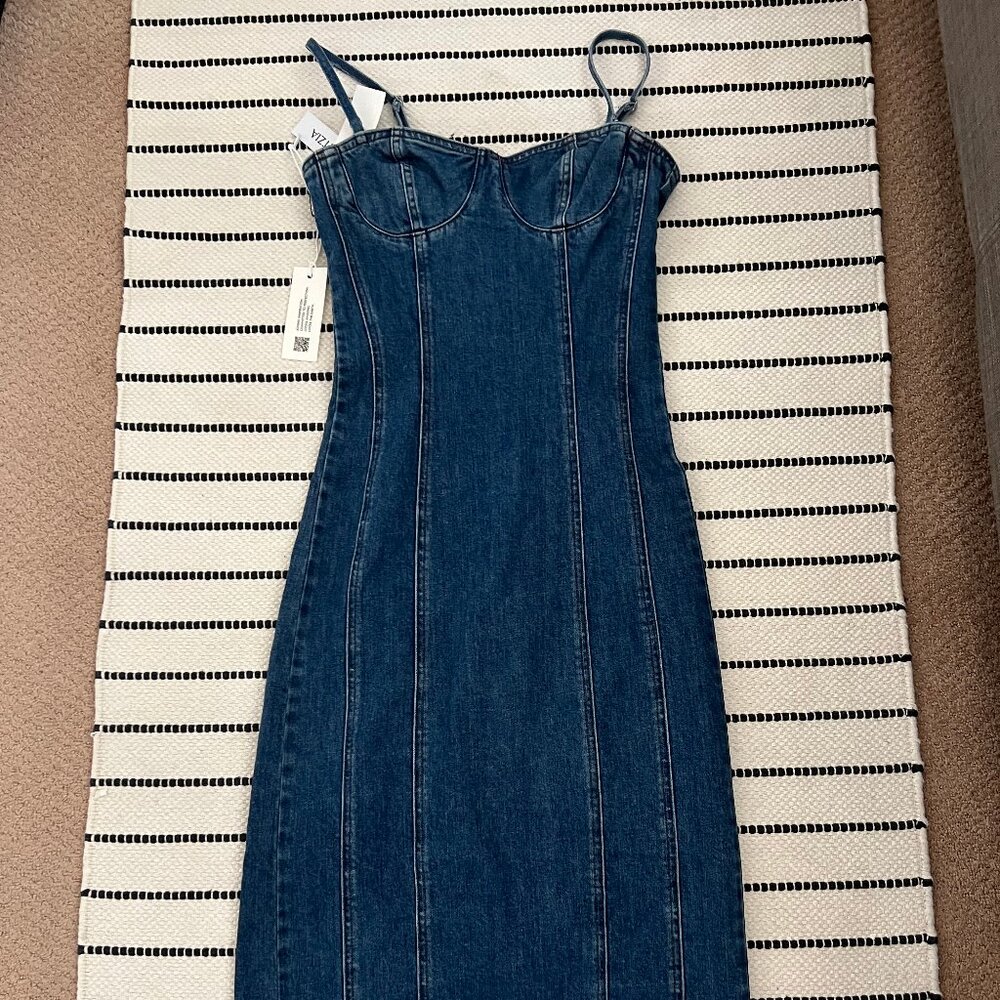 Aritzia Denim Forum 90's Debbie Denim Dress